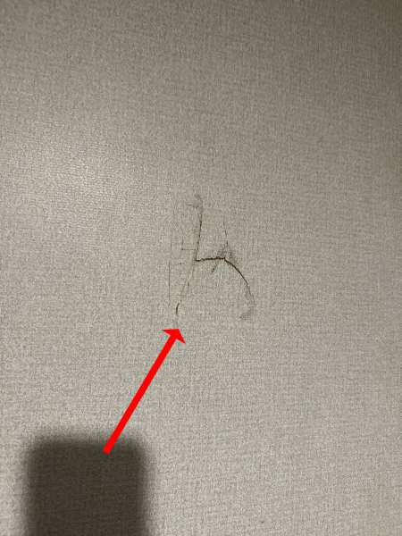 2022 Coleman Lantern 295 Travel Trailer - Image 33