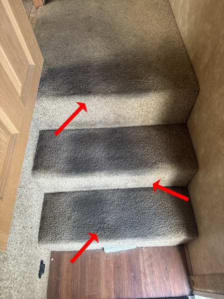 2008 Forest River Cardinal 35SB - Image 36