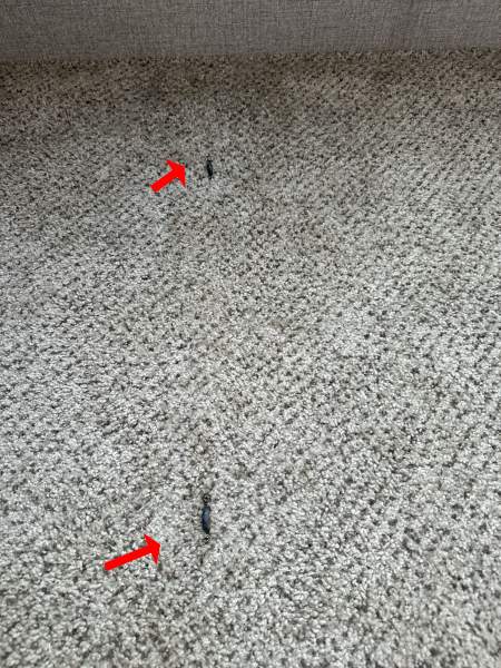 2020 Jayco Bungalow 40 LOFT - Image 32