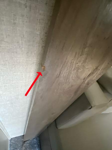 2020 Forest River Salem T22RBS - Image 24