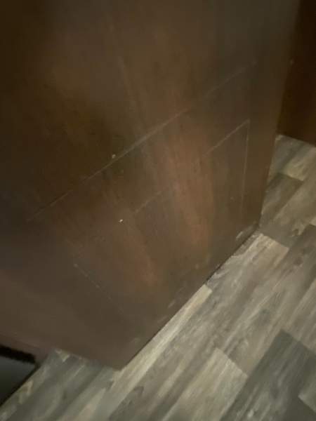 2017 Keystone Premier 19FBR - Image 29