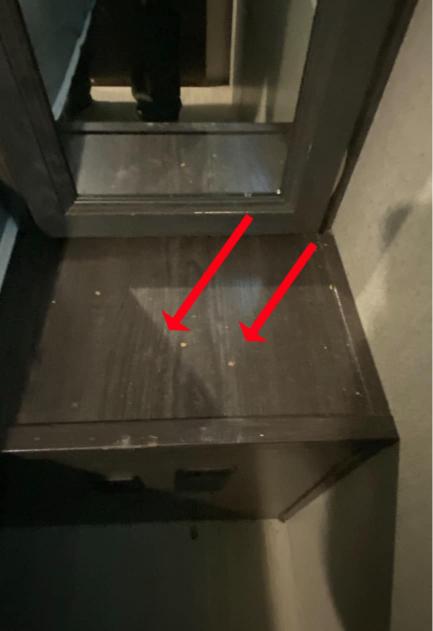 2018 Kodiak 331BHSL - Image 19