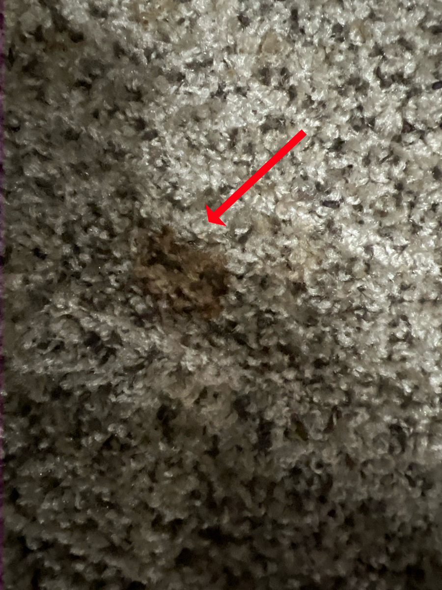 2018 Jayco Jayflight 20720B - Image 31