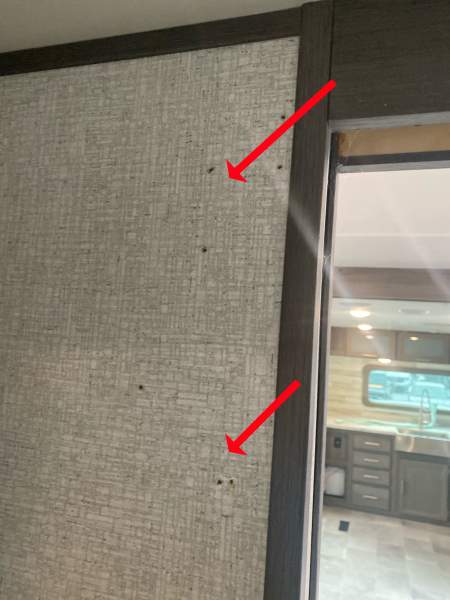 2020 Dutchmen Kodiak FKDS20 - Image 27