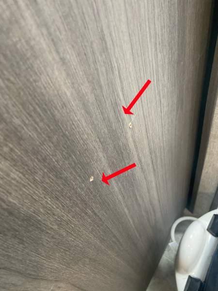 2020 Dutchmen Kodiak FKDS20 - Image 24