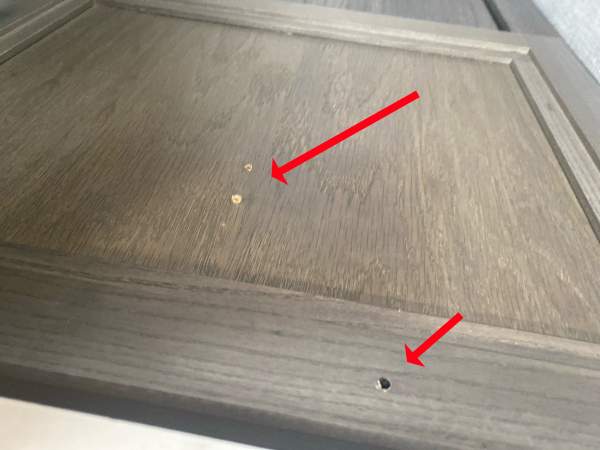 2020 Dutchmen Kodiak FKDS20 - Image 33