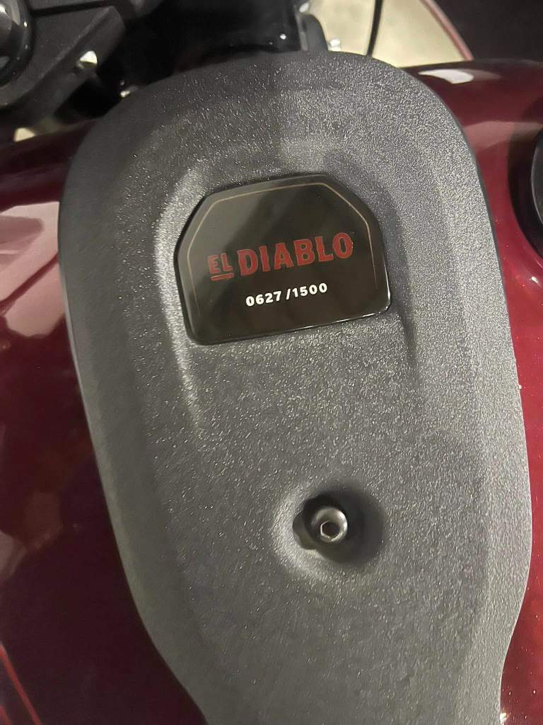 2022 Harley Davidson Motorcycle El Diablo - Image 10