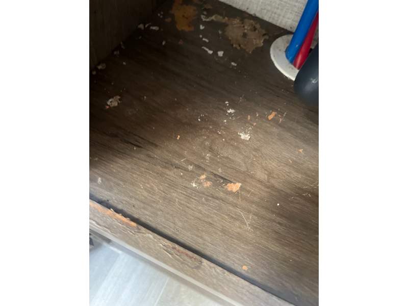 2020 East to West 291RK - Image 34