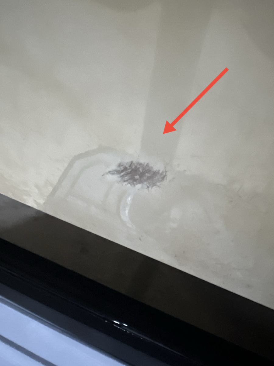 2020 Heyday WT-2 - Image 10