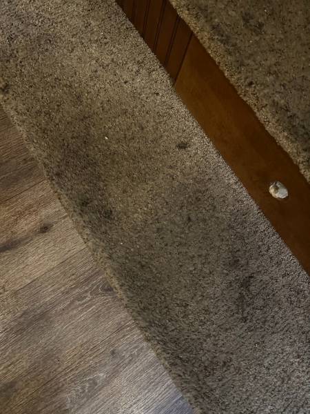 2015 Heartland Big Country 3450TS - Image 22