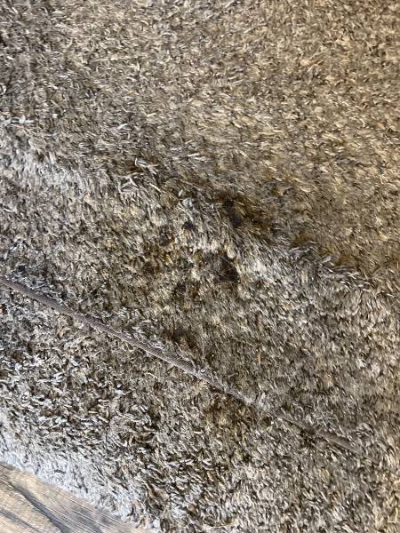 2022 Northwood Nash 29S - Image 20