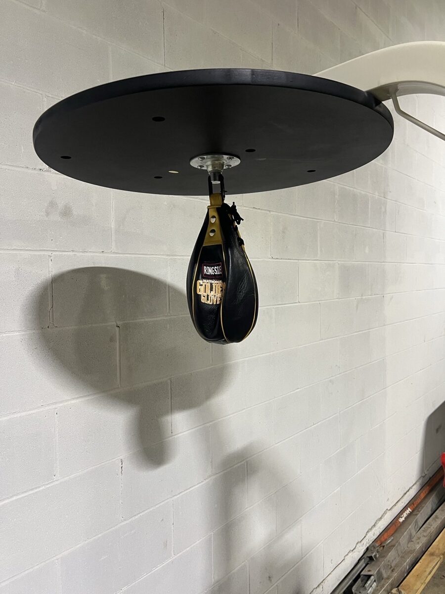 Heavy Bag Dual Station - Includes Heavy Bag and Speed Bag - Image 4
