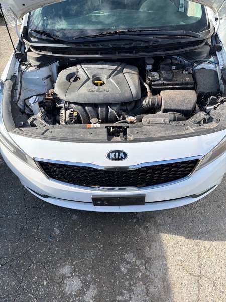 2017 Kia Forte Ex - Image 13