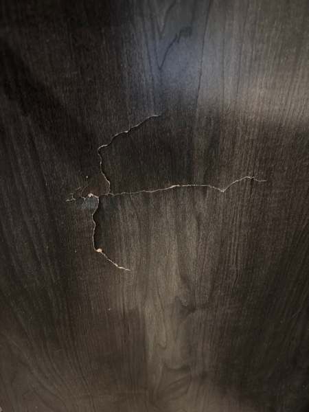 2019 Forest River Surveyor 200MBLE - Image 12